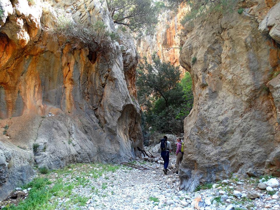 Tania village Zakros maisonette Zákros Exterior foto
