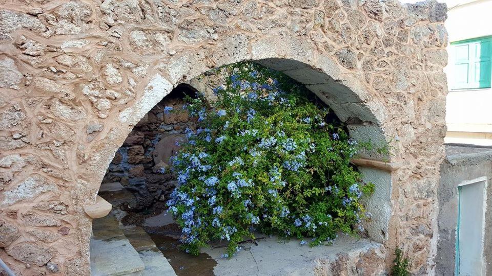 Tania village Zakros maisonette Zákros Exterior foto